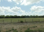 35744DSC02248.JPG