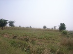 9073RIMG0153.JPG