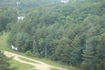 2024-08-05_13-55-15_8F03D25E-5633-4433-B68E-0EF0BE0CD032.jpeg