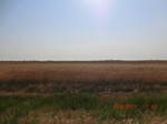 29901CIMG1455.JPG