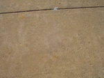 10041DSC02782.JPG