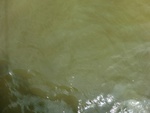58084CIMG2378.JPG