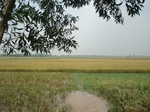 21846DSC08432.JPG