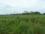 55116Berau (432).JPG