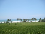 15442IMG_4318.JPG