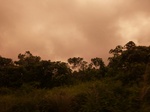 54886Berau (171).JPG