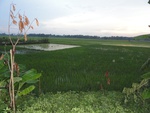 21964DSC00219.JPG