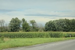 2024-09-24_15-56-50_2E31F255-1122-4AC4-8360-F26668A3A9DC.jpeg