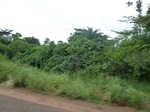 21046P1020918.JPG