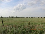 29471CIMG0769.JPG