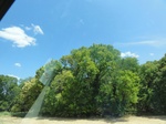 35117DSC02322.JPG