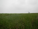 54451DSCN1732.JPG