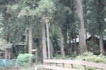 2024-11-21_16-04-22_84D23D8A-DC7C-49E1-87D5-9F8CF42BF17A.jpeg
