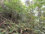 46702DSC02036.JPG