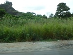 21098P1020975.JPG