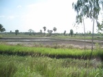 33356IMG_5696.JPG