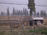 3083 016.jpg