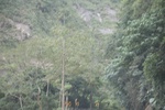 2024-11-21_16-09-16_FCB22AB1-6A93-4B26-A097-3610D6477E24.jpeg