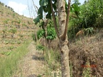 53249CIMG6488.JPG