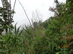 53361CIMG6656.JPG