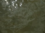 58618CIMG3068.JPG