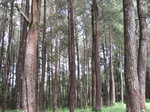 14577IMG_4943.JPG