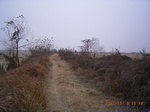 3418 070.jpg