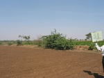 7827gt051b-cropland-rainfed-mixed-cropping.jpg