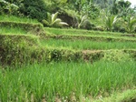 13797IMG_4060.JPG