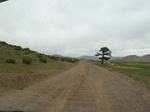 23508P1030360.JPG