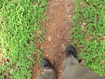46251CIMG0540.JPG