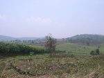 28204RIMG0194.JPG