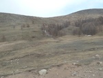 22280P1010416.JPG