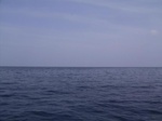 5423624.jpg