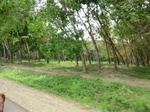 50593CIMG1222.JPG