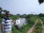 12368005c-irrigated-canal-Nagarjunsagar-rice-dominant.gif