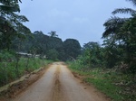 47899CIMG4236.JPG