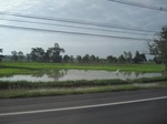 33346IMG_5685.JPG