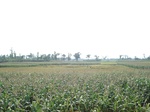 21823DSC08382.JPG