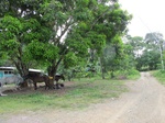 32080IMG_5609.JPG