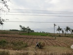 31642CIMG1510.JPG
