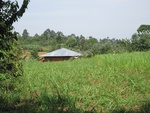 32149IMG_0615.JPG