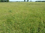 29195IDAB20110517GPS.JPG