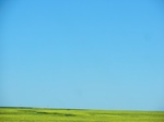 29172CIMG0654.JPG