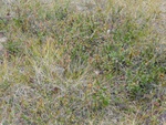 24911DSC00018.JPG