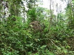 45956CIMG0245.JPG