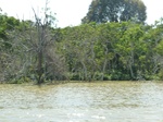 54620Bulungan (118).JPG