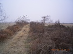3393 045.jpg