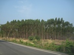 27828IMG_4753.JPG