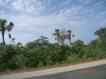 8874nigeria 085.jpg